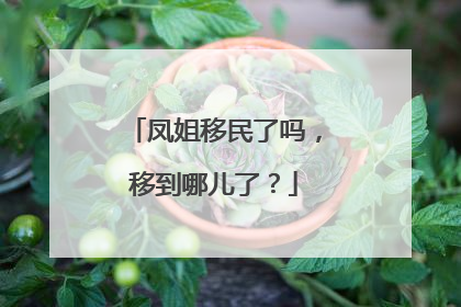 凤姐移民了吗，移到哪儿了？
