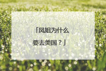 凤姐为什么要去美国?