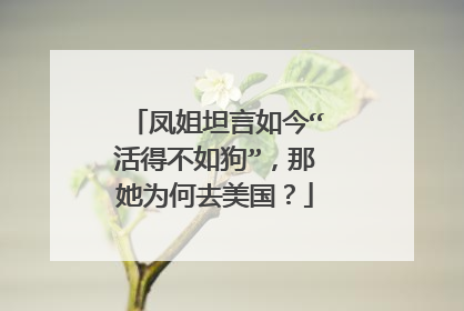 凤姐坦言如今“活得不如狗”，那她为何去美国？