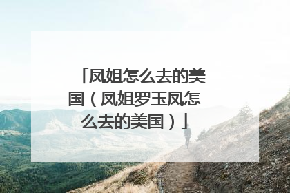凤姐怎么去的美国(凤姐罗玉凤怎么去的美国)