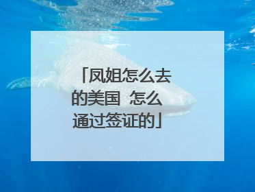 凤姐怎么去的美国 怎么通过签证的