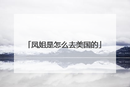 凤姐是怎么去美国的