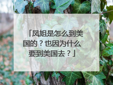 凤姐是怎么到美国的?也因为什么要到美国去?