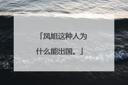 凤姐这种人为什么能出国。
