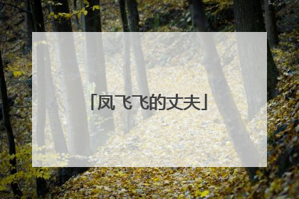 凤飞飞的丈夫