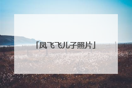 凤飞飞儿子照片