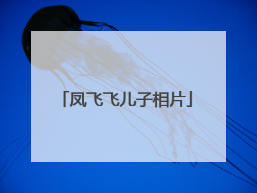 凤飞飞儿子相片