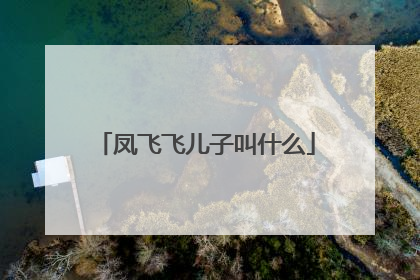 凤飞飞儿子叫什么