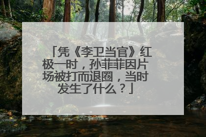 凭《李卫当官》红极一时，孙菲菲因片场被打而退圈，当时发生了什么？