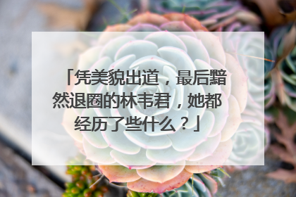 凭美貌出道，最后黯然退圈的林韦君，她都经历了些什么？