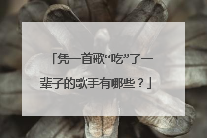 凭一首歌“吃”了一辈子的歌手有哪些？