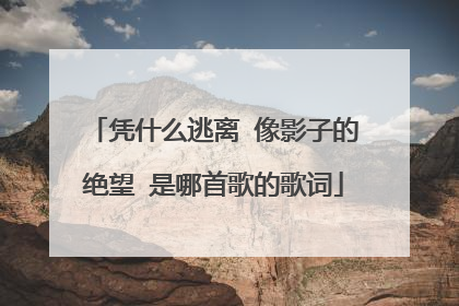 凭什么逃离 像影子的绝望 是哪首歌的歌词