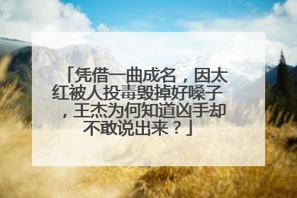 凭借一曲成名，因太红被人投毒毁掉好嗓子，王杰为何知道凶手却不敢说出来？