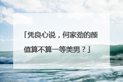凭良心说，何家劲的颜值算不算一等美男？