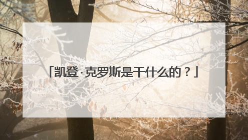 凯登·克罗斯是干什么的？