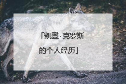 凯登·克罗斯的个人经历