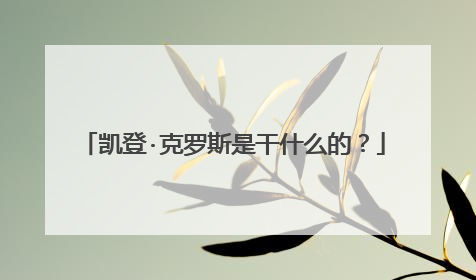 凯登·克罗斯是干什么的？