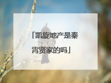 凯旋地产是秦霄贤家的吗