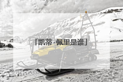 凯蒂·佩里是谁