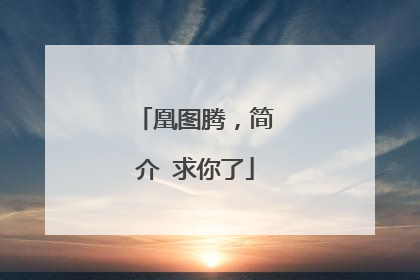 凰图腾,简介 求你了