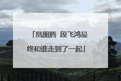 凰图腾 段飞鸿最终和谁走到了一起