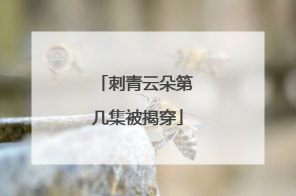 刺青云朵第几集被揭穿