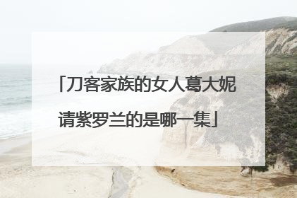 刀客家族的女人葛大妮请紫罗兰的是哪一集