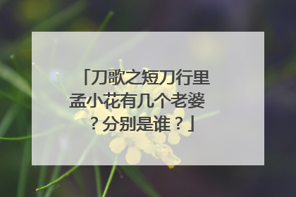 刀歌之短刀行里孟小花有几个老婆？分别是谁？