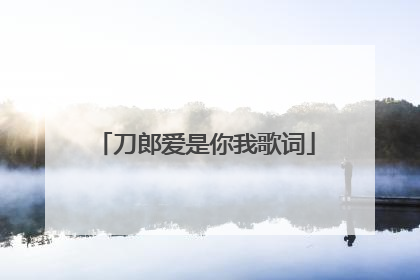 刀郎爱是你我歌词