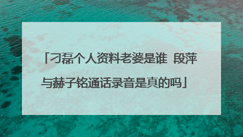 刁磊个人资料老婆是谁 段萍与赫子铭通话录音是真的吗