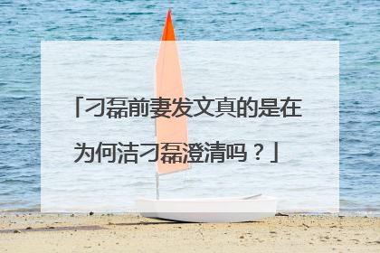 刁磊前妻发文真的是在为何洁刁磊澄清吗？