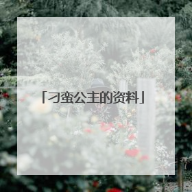 刁蛮公主的资料