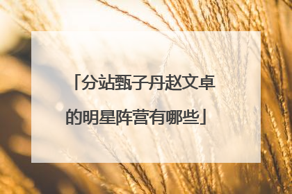 分站甄子丹赵文卓的明星阵营有哪些