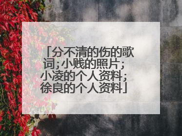 分不清的伤的歌词;小贱的照片;小凌的个人资料;徐良的个人资料