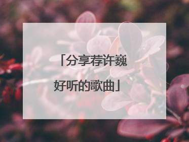 分享荐许巍好听的歌曲