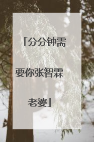 分分钟需要你张智霖老婆