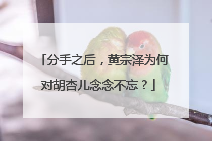 分手之后,黄宗泽为何对胡杏儿念念不忘?