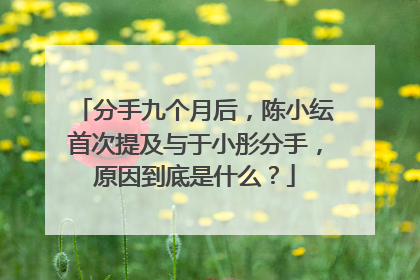 分手九个月后,陈小纭首次提及与于小彤分手,原因到底是什么?