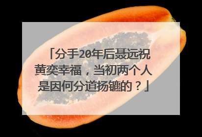 分手20年后聂远祝黄奕幸福,当初两个人是因何分道扬镳的?