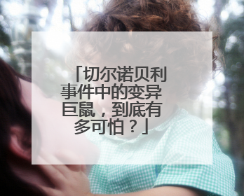 切尔诺贝利事件中的变异巨鼠,到底有多可怕?