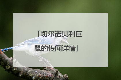 切尔诺贝利巨鼠的传闻详情