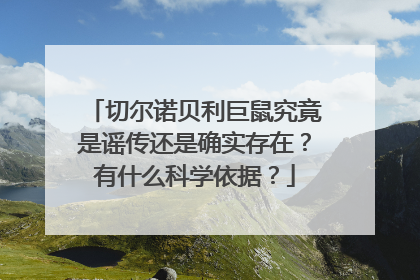切尔诺贝利巨鼠究竟是谣传还是确实存在？有什么科学依据？