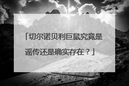 切尔诺贝利巨鼠究竟是谣传还是确实存在？