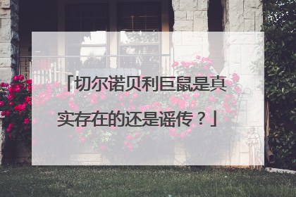 切尔诺贝利巨鼠是真实存在的还是谣传？