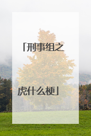 刑事组之虎什么梗