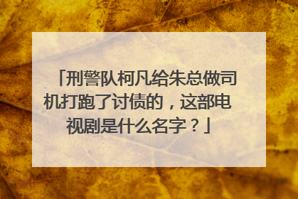 刑警队柯凡给朱总做司机打跑了讨债的，这部电视剧是什么名字？