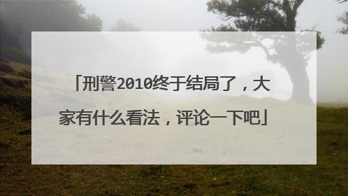 刑警2010终于结局了,大家有什么看法,评论一下吧