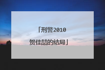 刑警2010贺佳喆的结局