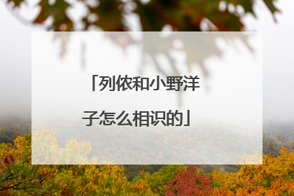列侬和小野洋子怎么相识的