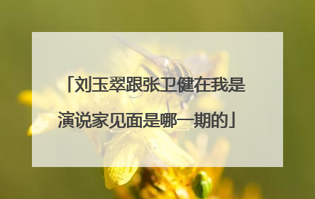 刘玉翠跟张卫健在我是演说家见面是哪一期的